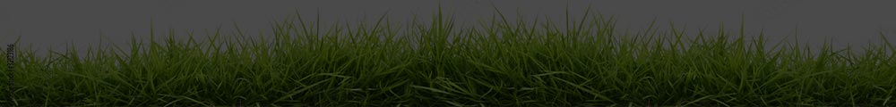 grass